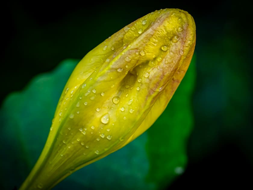 Faltering Growth in Infants and Toddlers: What It Means and How It's Managed